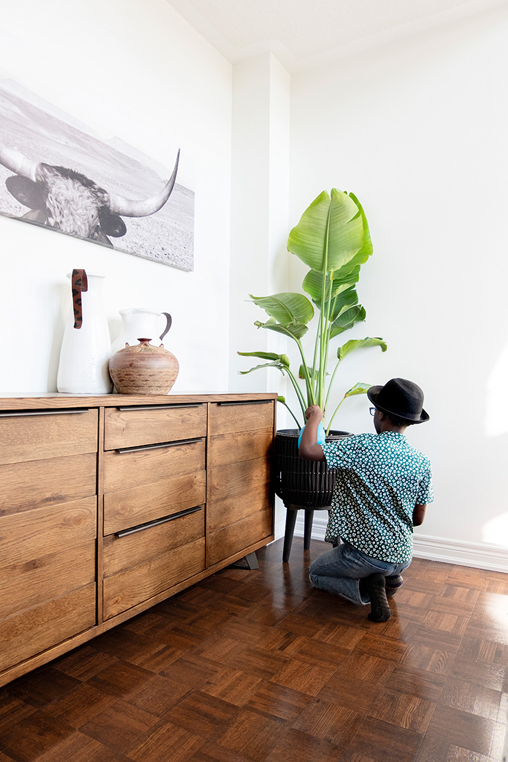 Bird of paradise and sideboard. How to style a sideboard
